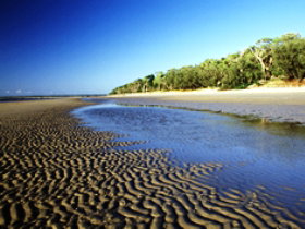 Kinkuna Section - Accommodation Sydney 0