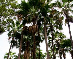 Palm Tree Creek - Accommodation Sydney 0
