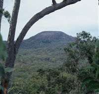 Mount Fox - Sydney 4u
