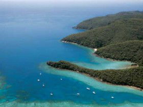 Butterfly Bay - Hook Island - Accommodation Sydney 0