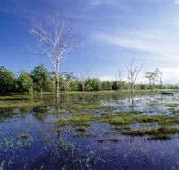 Tyto Wetlands - Sydney 4u