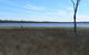 Lake Murphy Conservation Park - thumb 0