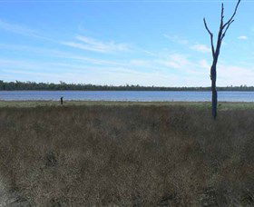 Lake Murphy Conservation Park - Accommodation Sydney 0