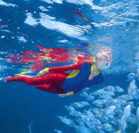 Outer Rocks Dive Site - Sydney 4u