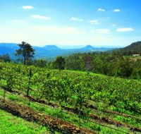 Preston Peak Wines - Accommodation Sydney