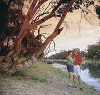 The Looking Glass - Accommodation Sydney