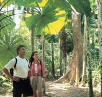 Licuala State Forest - Sydney 4u