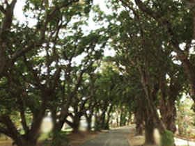 Eimeo QLD Accommodation Sydney