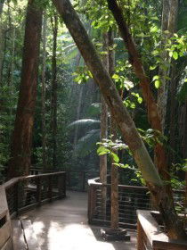 Basin Lake Track - Accommodation Sydney 0