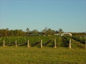 Kingsley Grove Estate - Sydney Resort 0