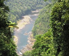 Book Innisfail QLD Attractions Accommodation Sydney Accommodation Sydney