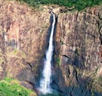 Buujan Quiinbiira Walk Wet Tropics Great Walk - Sydney 4u