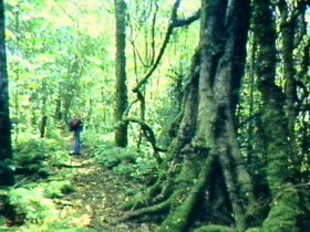 Accommodation Sydney