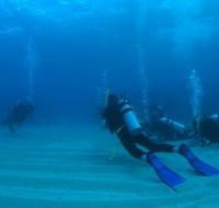 Egg Rock Dive Site - Sydney 4u