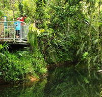 Djiru National Park - Sydney 4u