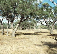 Forest Den National Park - Sydney 4u