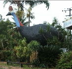 The Big Cassowary - Sydney 4u