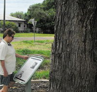 Augathella Kenniff Tree - Accommodation Sydney