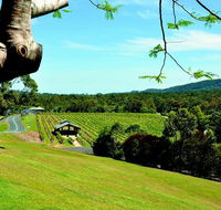 Sirromet Winery - Accommodation Sydney