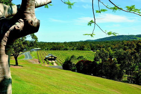 Sirromet Winery - Accommodation Sydney 0