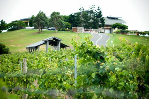 Sirromet Winery - Accommodation Sydney 10