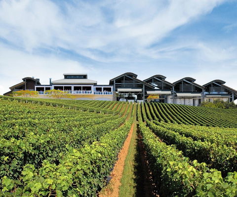 Sirromet Winery - Accommodation Sydney 12