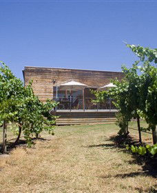 Shantell Vineyard - Accommodation Sydney 0