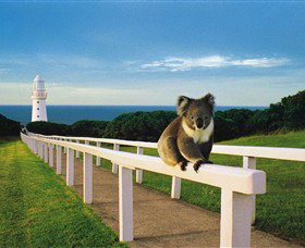 Cape Otway VIC Accommodation Sydney