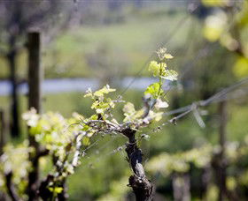 Elan Vineyard And Winery - Accommodation Sydney 0