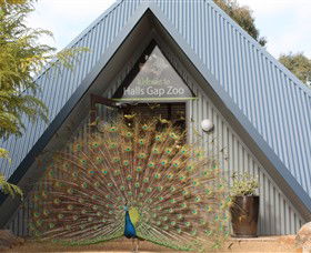 Halls Gap Zoo - Accommodation Sydney 0