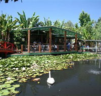 Blue Lotus Water Garden - Accommodation Sydney