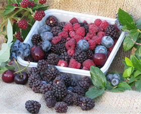 Bright Berry Farms - Sydney 4u 0