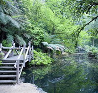 Alfred Nicholas Gardens - Accommodation Sydney