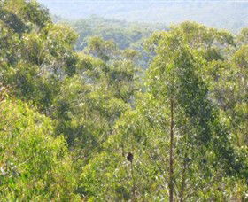Bunyip State Park - Sydney 4u 0
