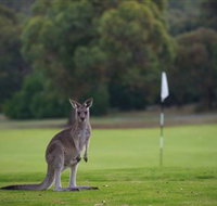 Anglesea Golf Club - Accommodation Sydney