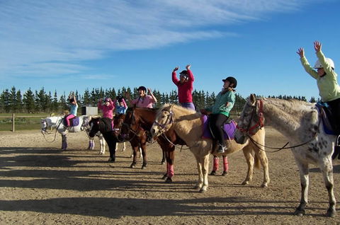 Saddle On Riding School - Accommodation Sydney 3