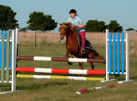 Saddle On Riding School - Accommodation Sydney 5