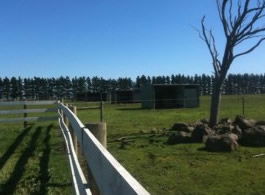 Saddle On Riding School - Accommodation Sydney 6