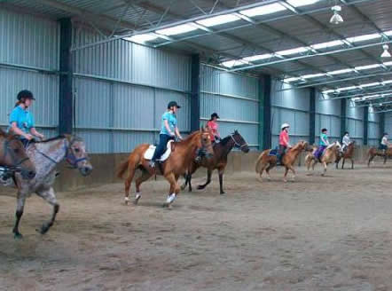 Saddle On Riding School - Accommodation Sydney 7