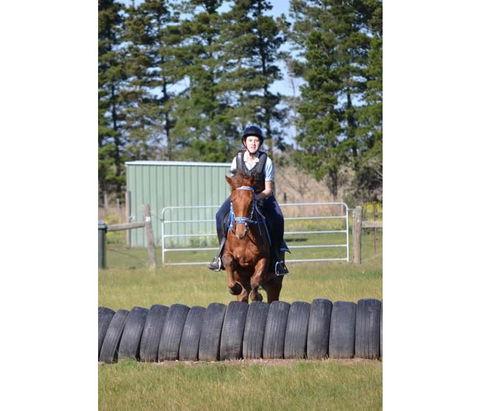 Saddle On Riding School - Accommodation Sydney 9