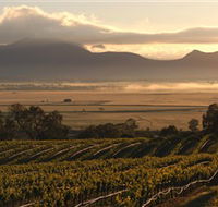 Montara Wines - Accommodation Sydney