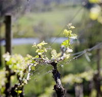 Coldstream Hills - Accommodation Sydney
