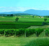 Acacia Ridge Vineyard - Sydney 4u
