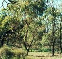 Leaghur State Park - Sydney 4u