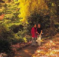 George Tindale Memorial Gardens - Accommodation Sydney