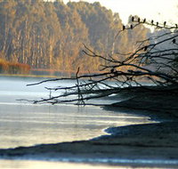 Barmah National Park - Sydney Resort