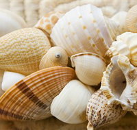 Anglesea Beach Club - Accommodation Sydney