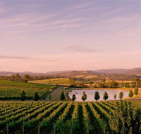 Oakridge Wines - Accommodation Sydney