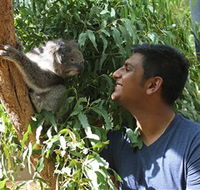 Healesville Sanctuary - Accommodation Sydney
