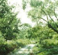 Holey Plains State Park - Sydney Resort